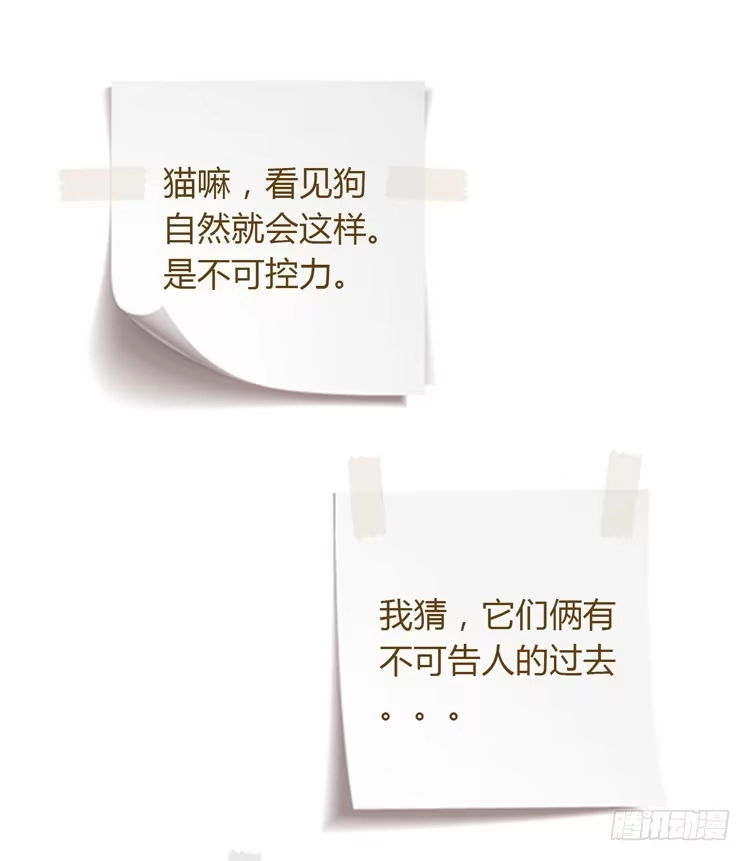 《我与秋田》你是怎样变成人的？！ 第59页