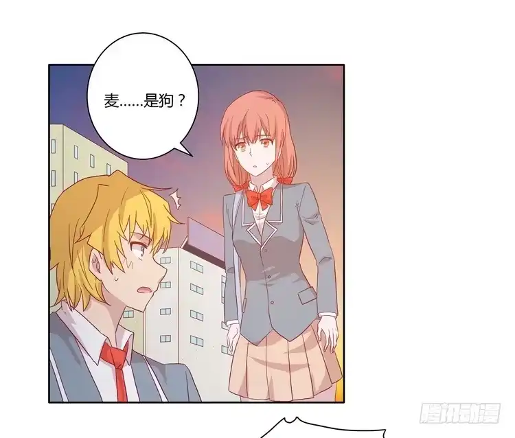 《我与秋田》去死吧！傻狗！ 第2页
