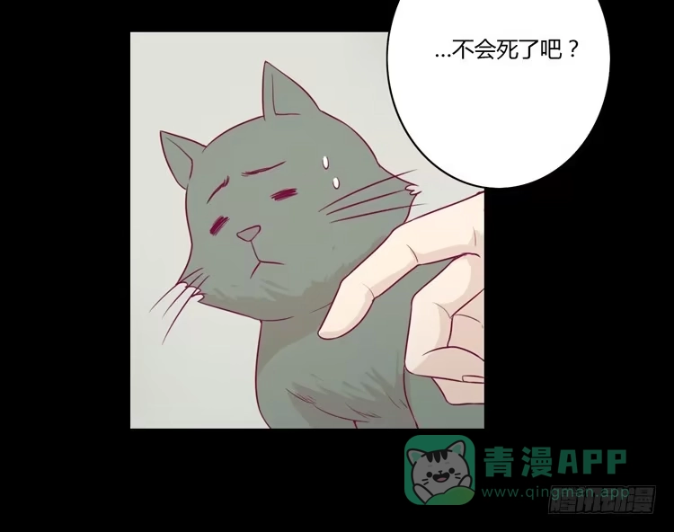 《我与秋田》寿命等价交换？！ 第11页