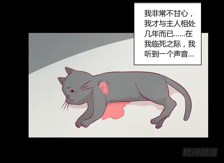 《我与秋田》寿命等价交换？！ 第62页