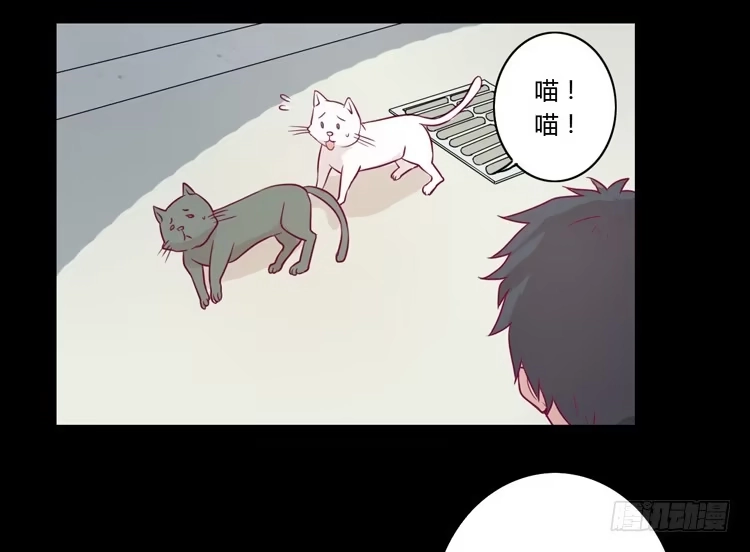 《我与秋田》寿命等价交换？！ 第10页