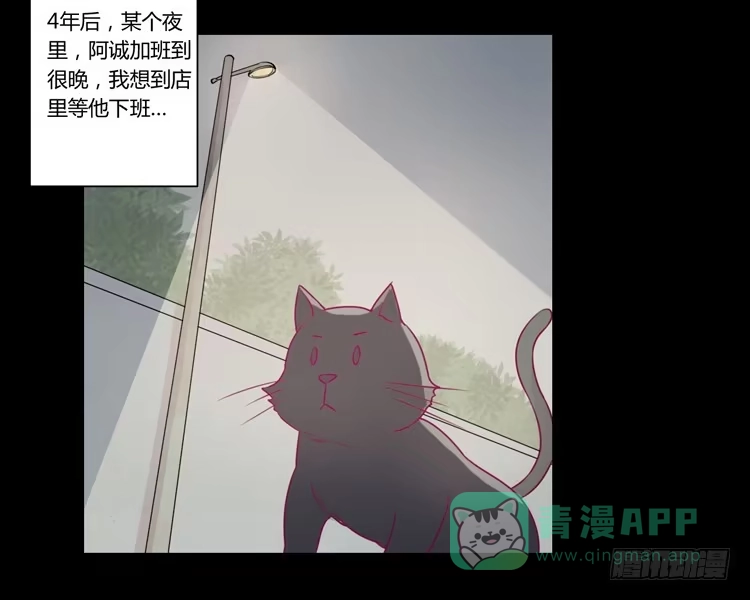《我与秋田》寿命等价交换？！ 第21页