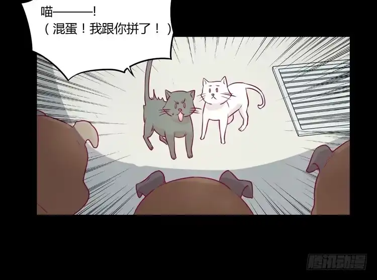 《我与秋田》寿命等价交换？！ 第5页