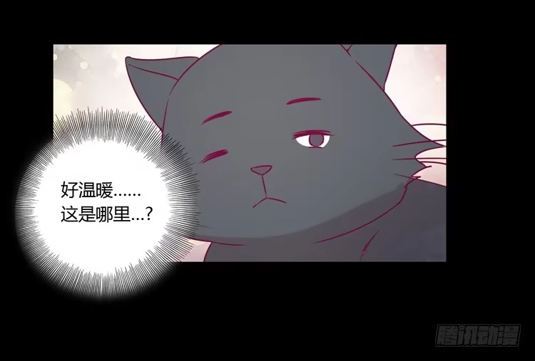 《我与秋田》寿命等价交换？！ 第12页