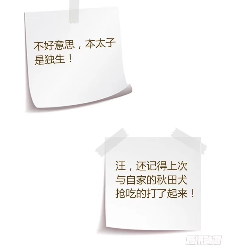 《我与秋田》姐姐与辰风分手？ 第59页