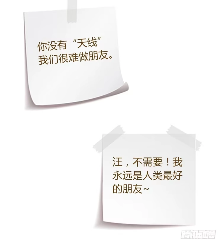 《我与秋田》我一定会找到你！ 第62页