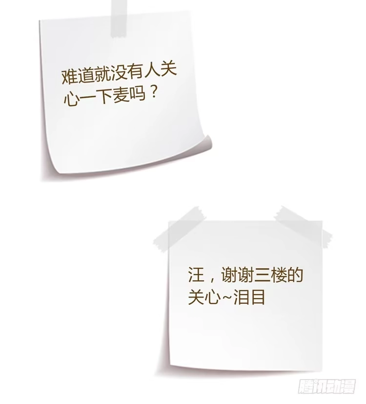 《我与秋田》你为什么不相信我？ 第65页