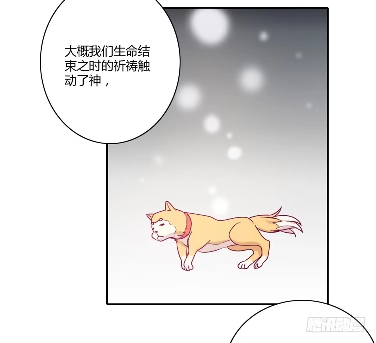 《我与秋田》辰风，你要守护好小田！ 第40页