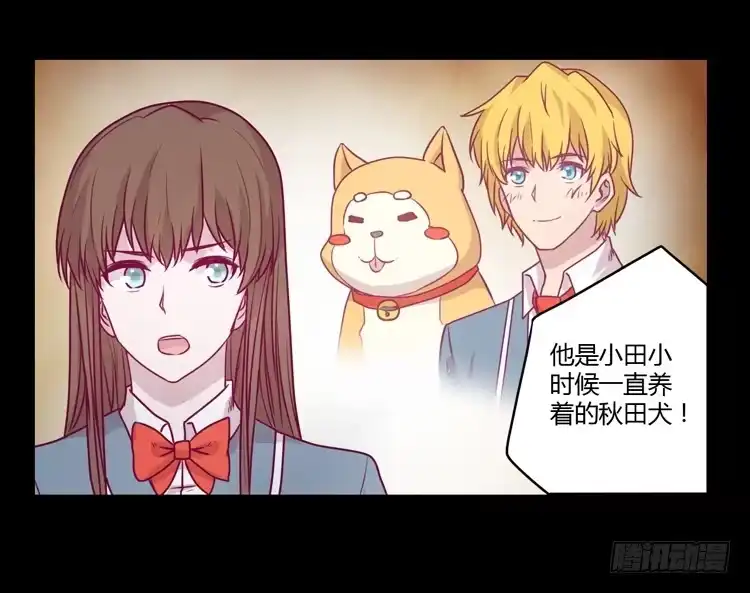 《我与秋田》辰风，你要守护好小田！ 第5页