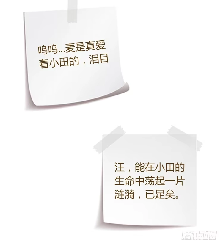 《我与秋田》辰风，你要守护好小田！ 第63页