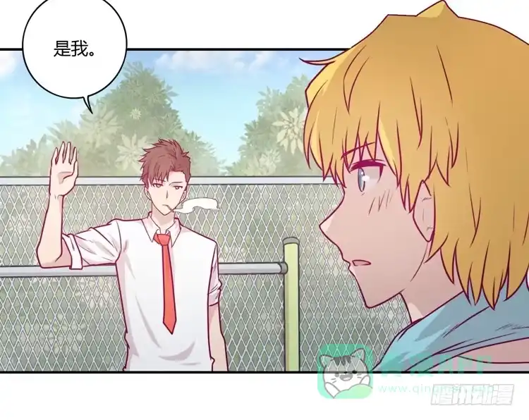 《我与秋田》辰风，你要守护好小田！ 第21页