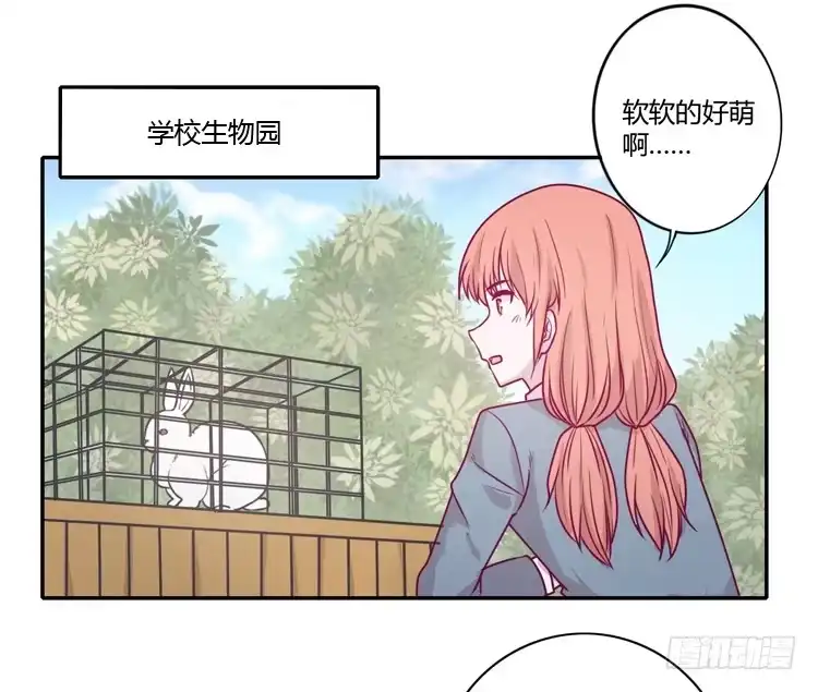 《我与秋田》蕾蕾不见了？！ 第29页
