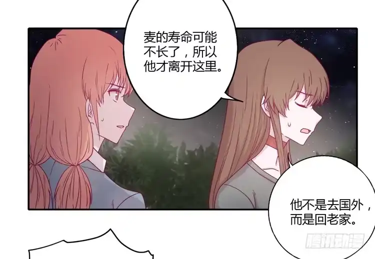 《我与秋田》是我太懦弱了 第2页