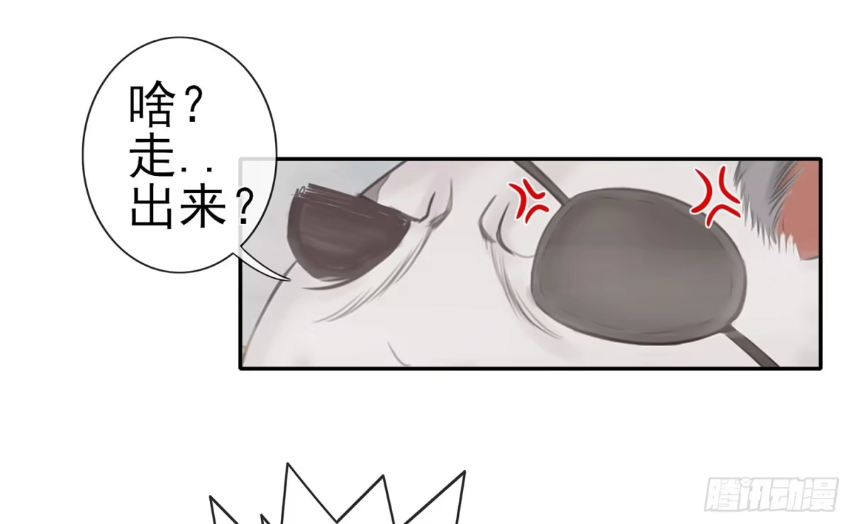 《我在异界当乞丐》丐帮弟子，言出必行 第13页
