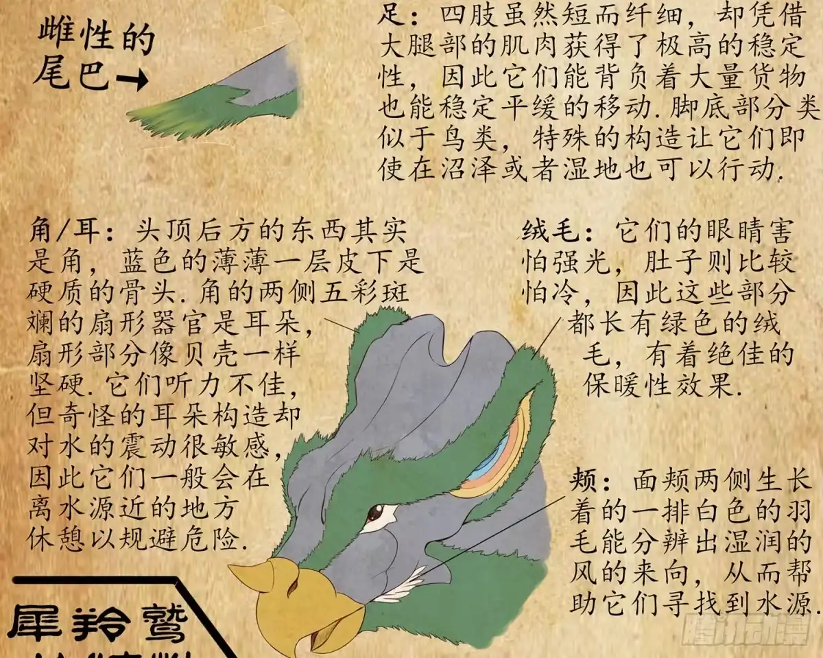 《我在异界当乞丐》是菩萨本人了！ 第49页