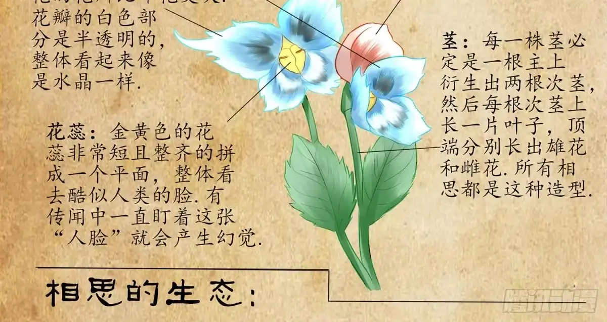 《我在异界当乞丐》星与约定 第124页