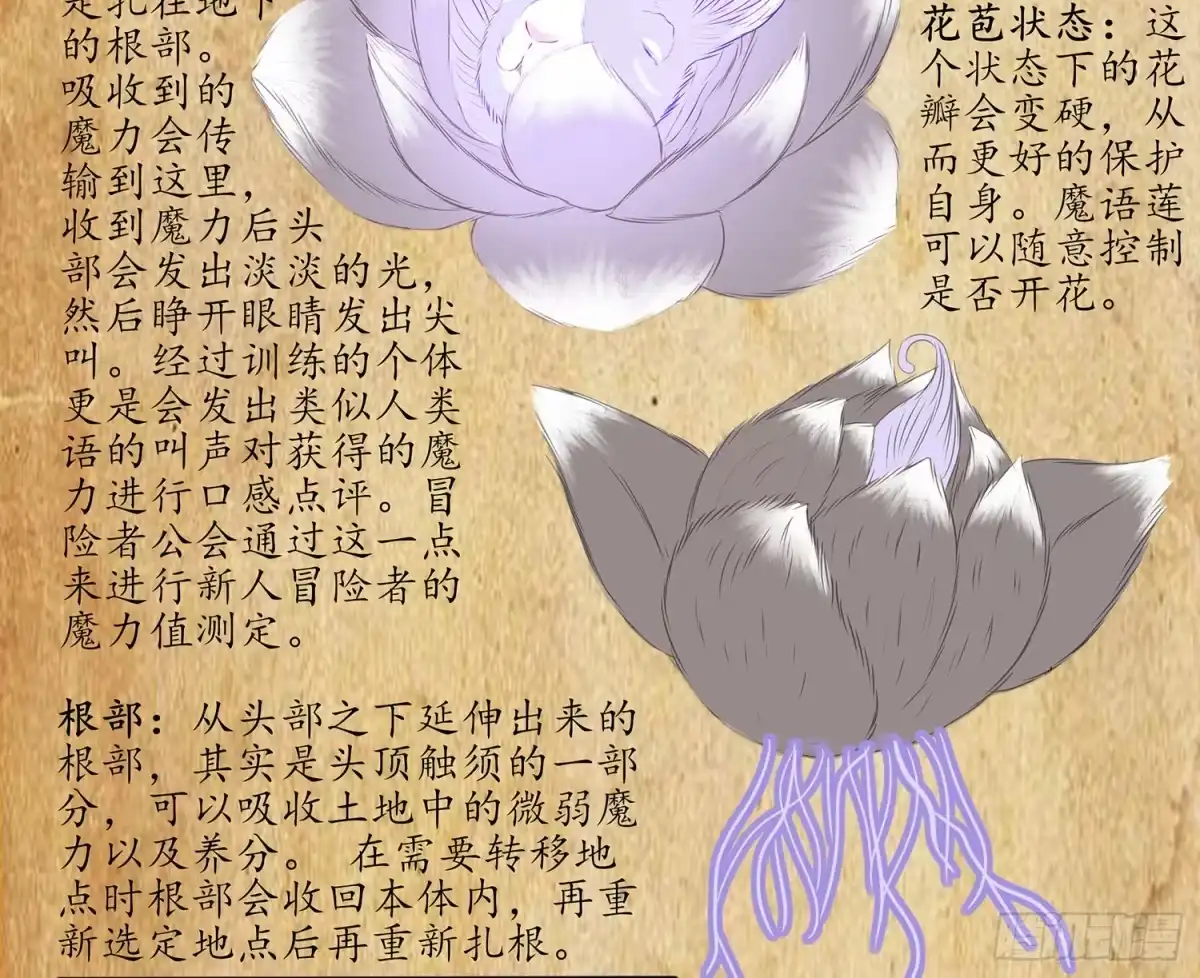 《我在异界当乞丐》魔力测定 第71页