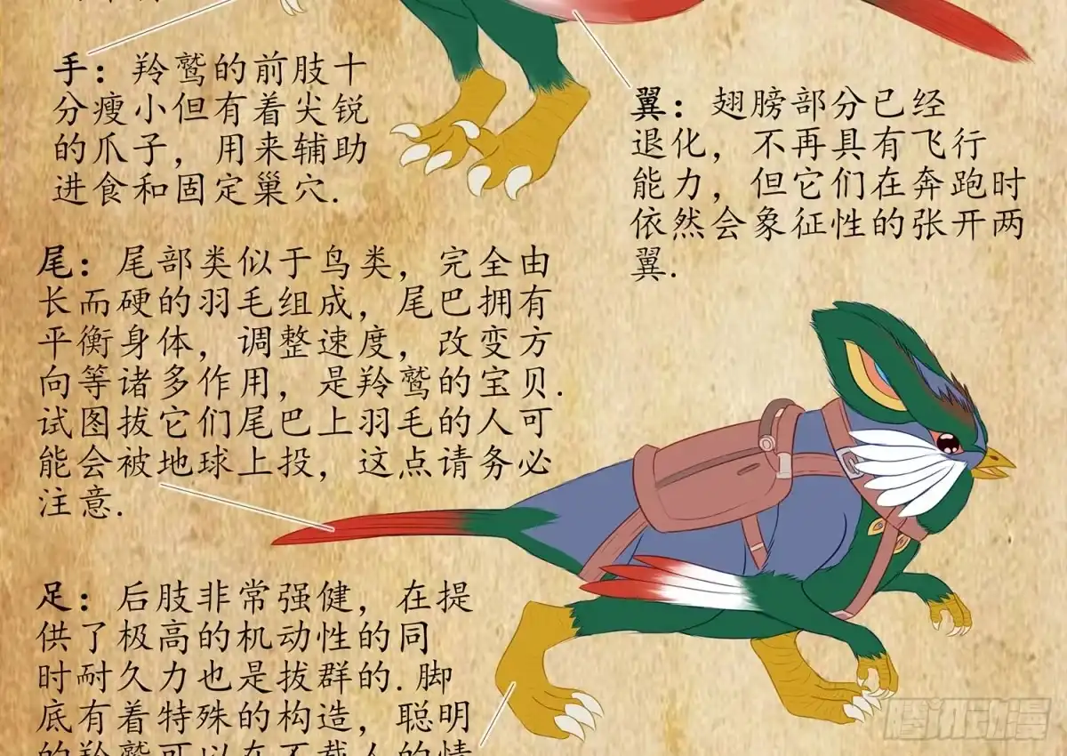 《我在异界当乞丐》分头行动 第79页