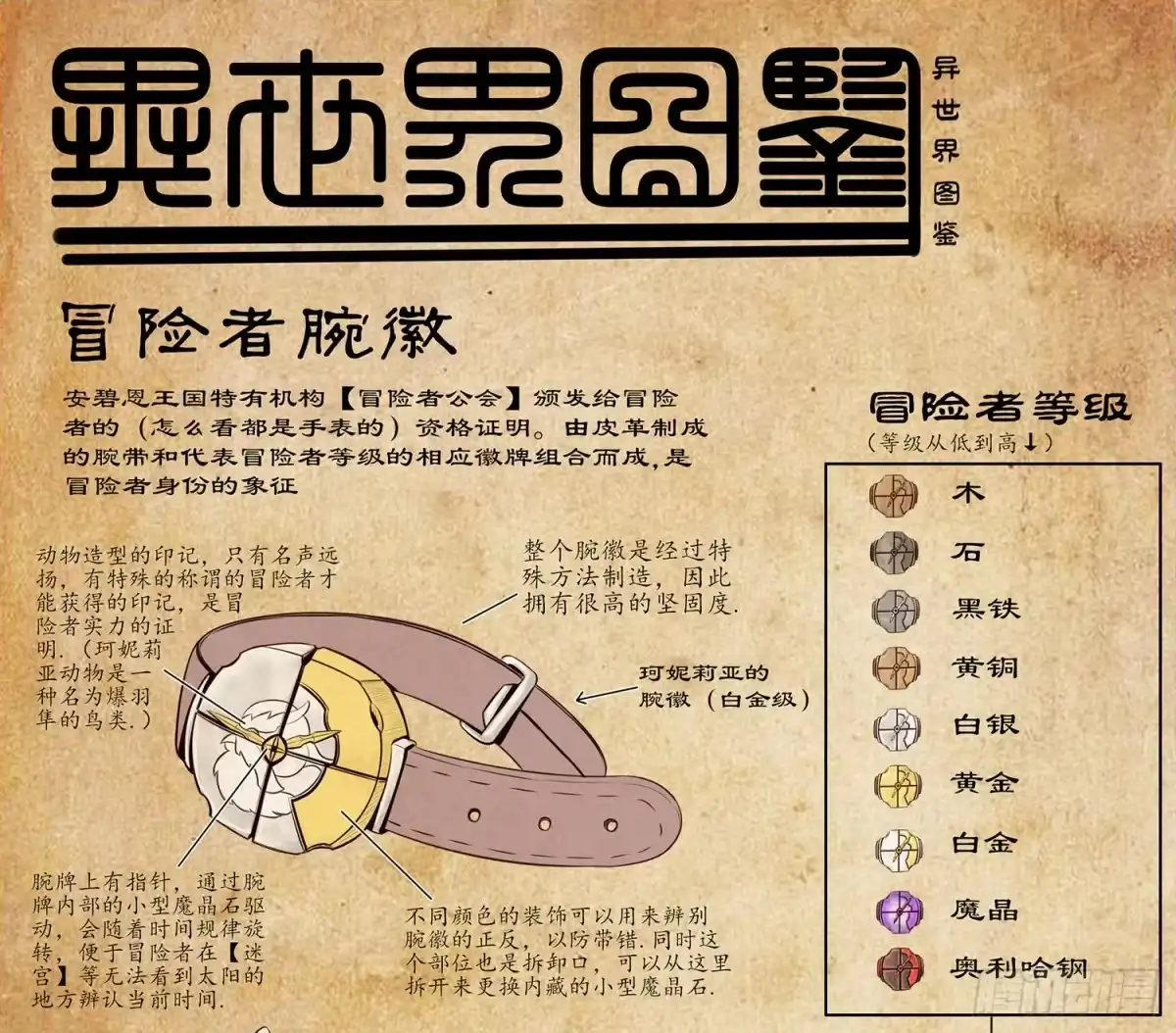 《我在异界当乞丐》风之剑姬 第64页