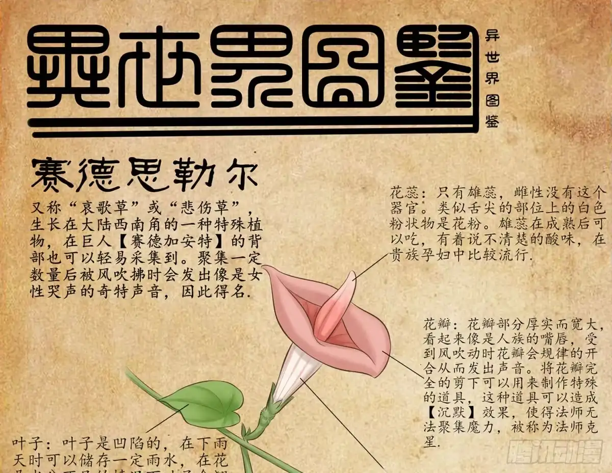 《我在异界当乞丐》狂风狩猎 第84页