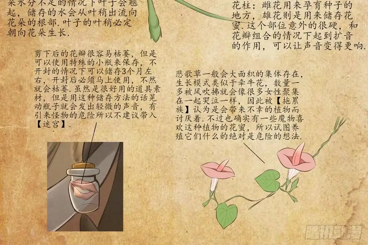 《我在异界当乞丐》狂风狩猎 第85页