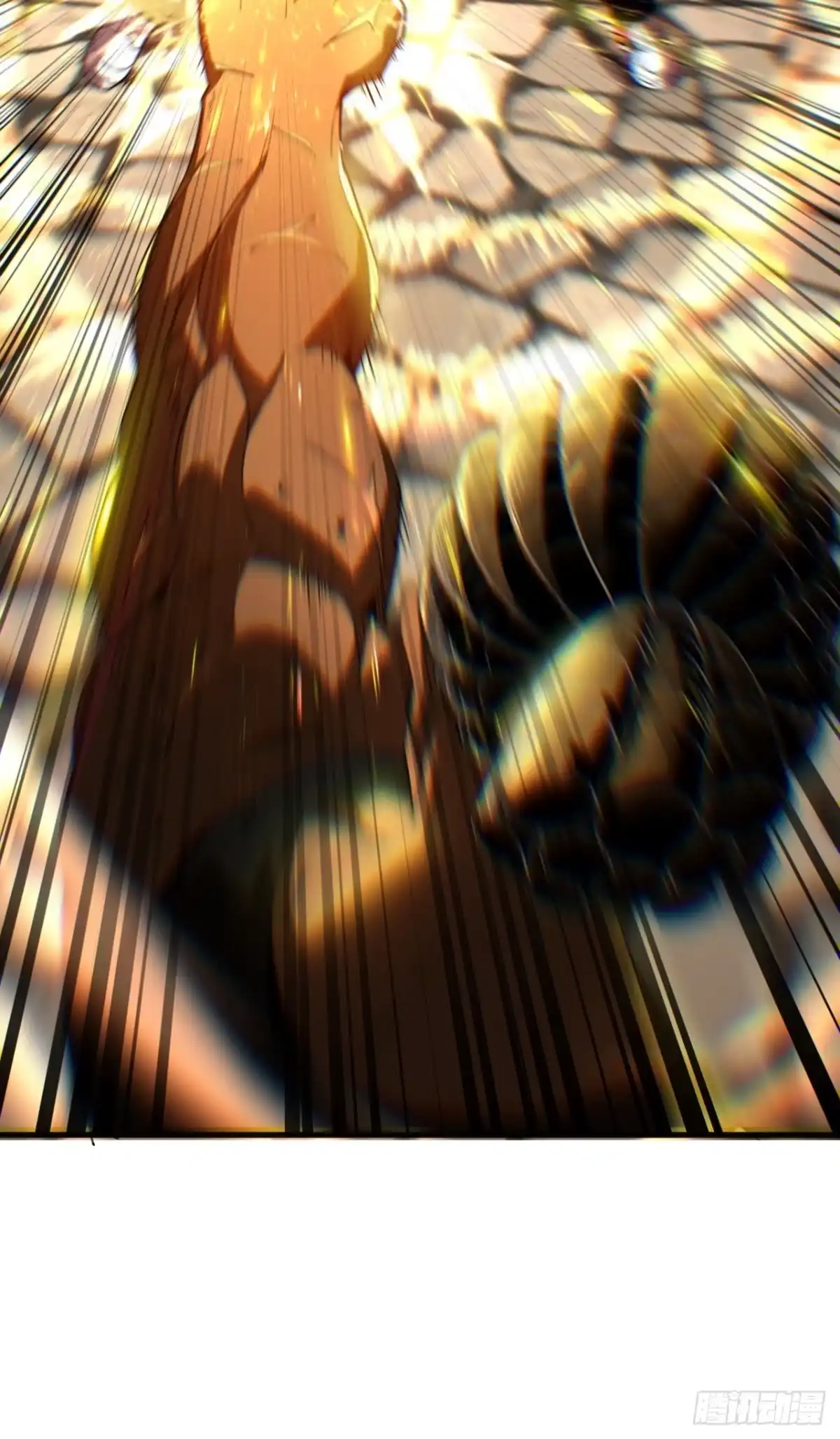 41.jpg
