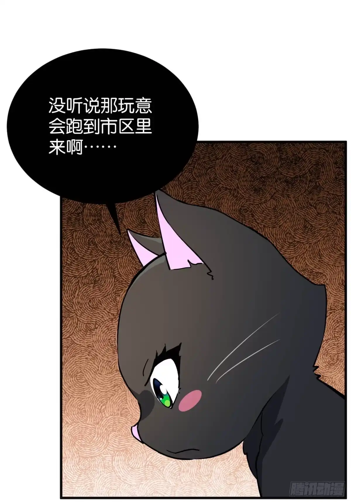 71.jpg