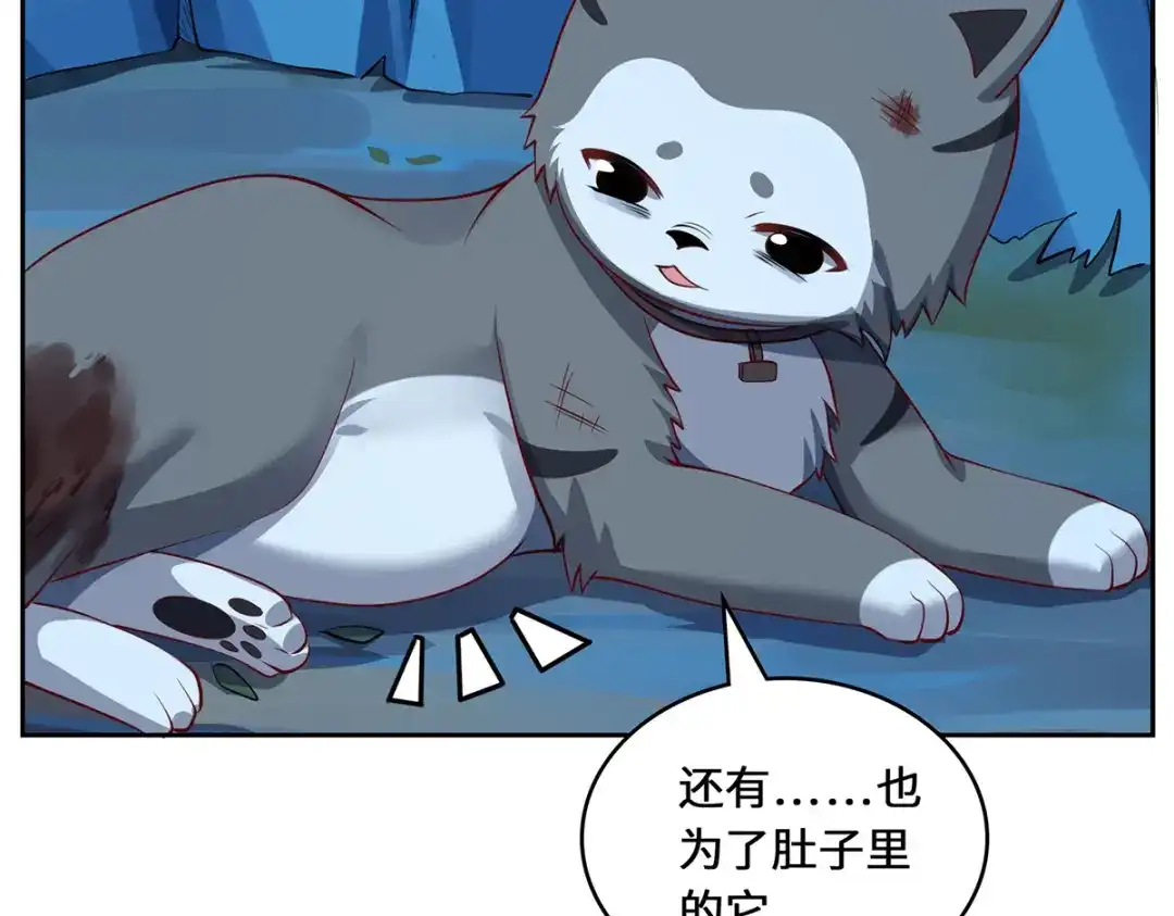 《吾本是猫》第104话 埋伏 第104页