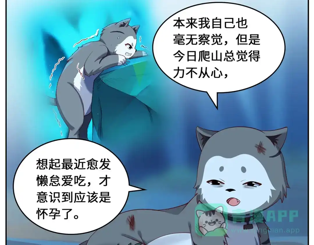 《吾本是猫》第106话 红羽令 第91页