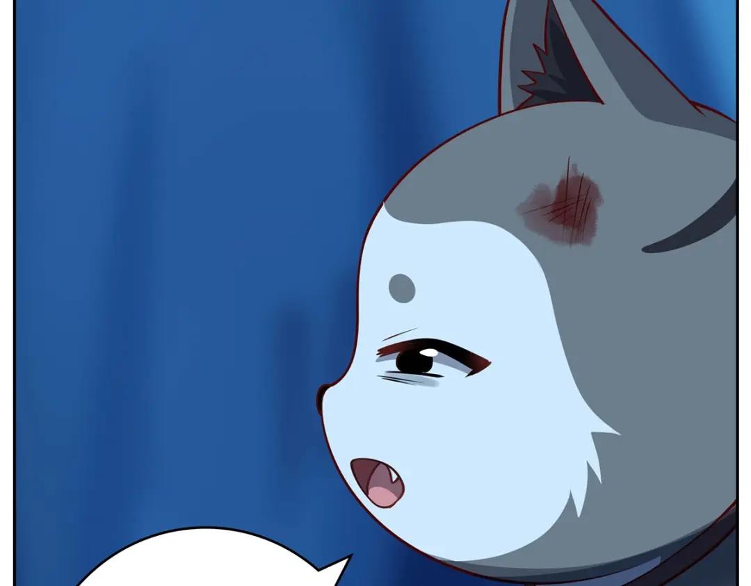 《吾本是猫》第106话 红羽令 第104页