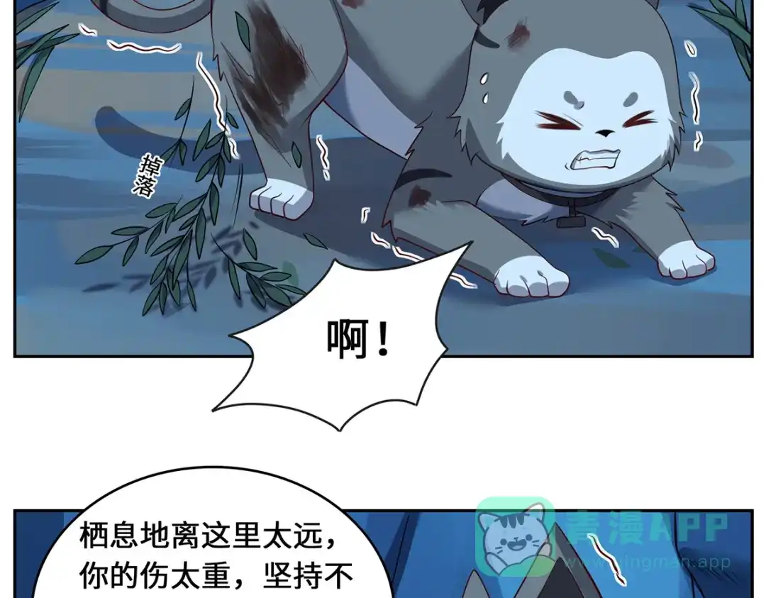 《吾本是猫》第107话 爱人 第81页