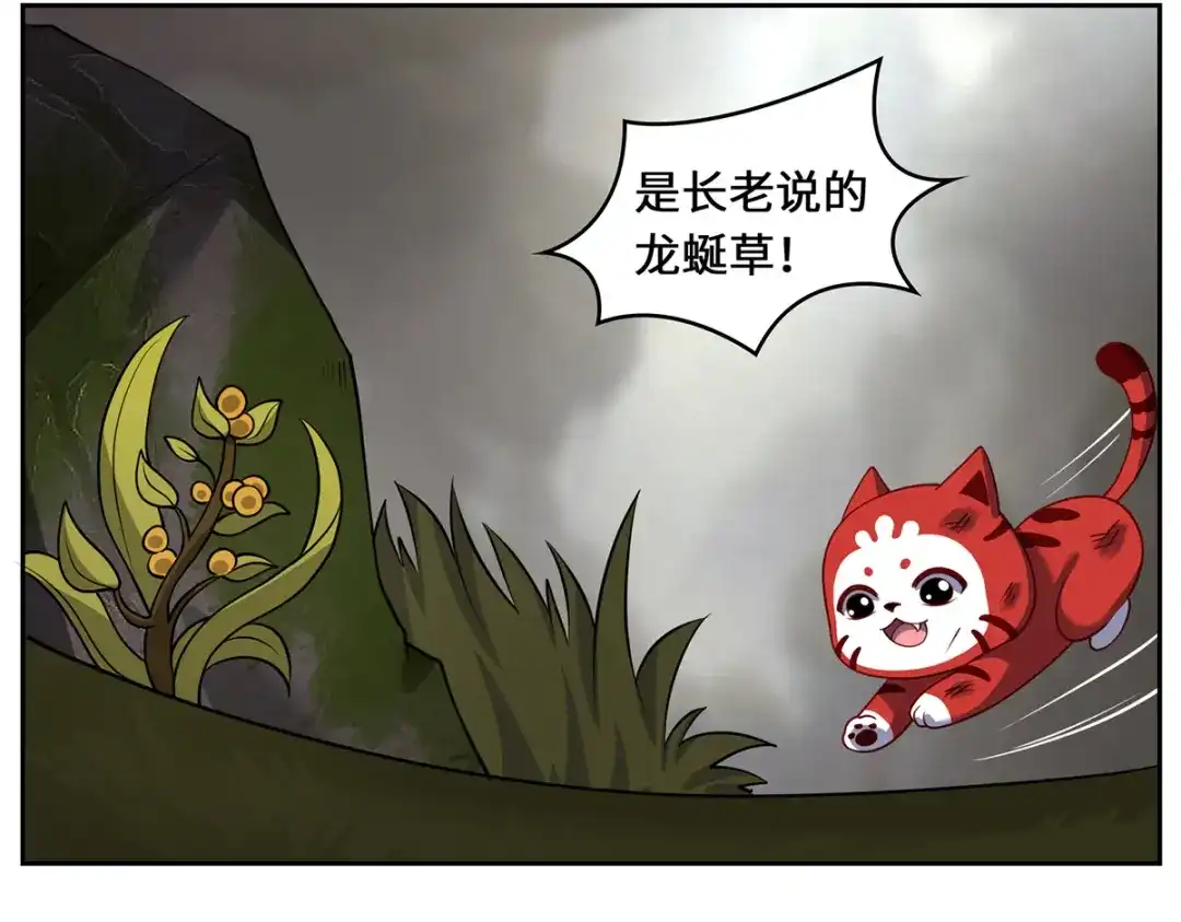 《吾本是猫》八喜猫番外（三十三）:最后一株龙蜒草 第19页
