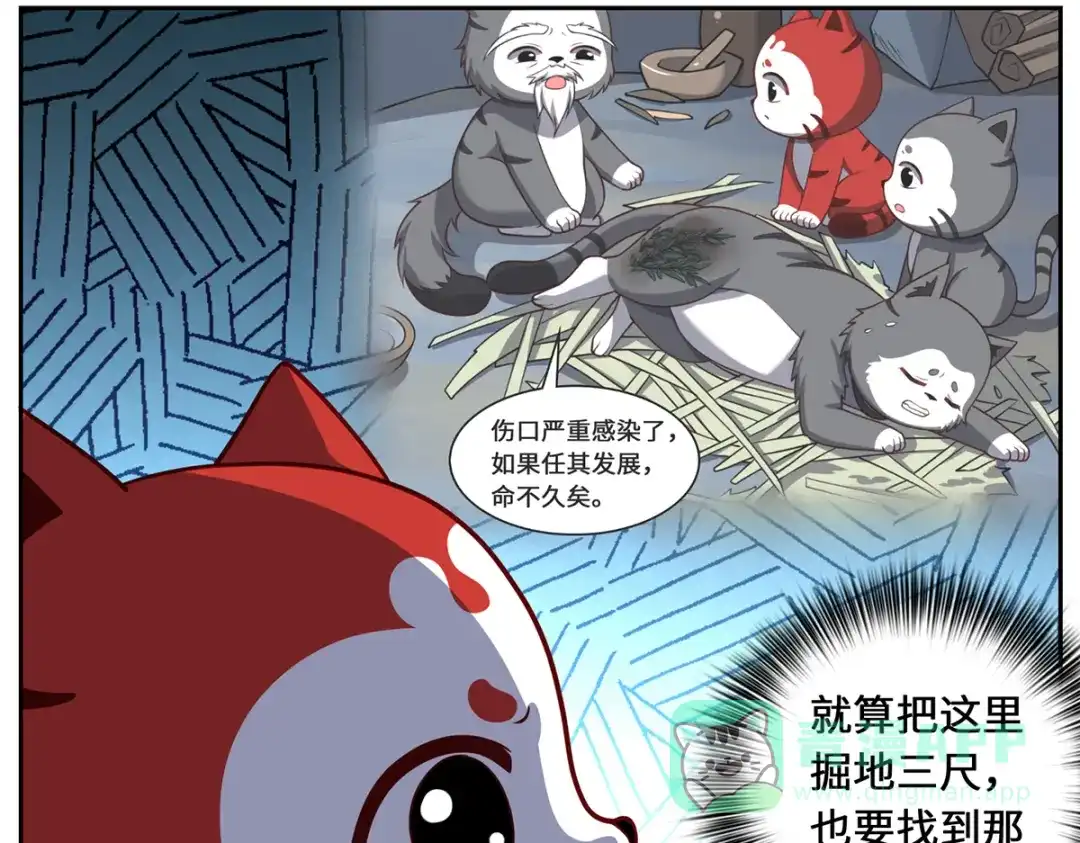《吾本是猫》八喜猫番外（三十三）:最后一株龙蜒草 第11页
