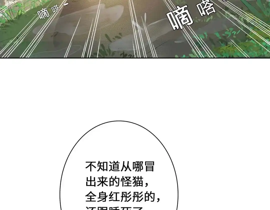 《吾本是猫》第1话 罪仙降世 第152页