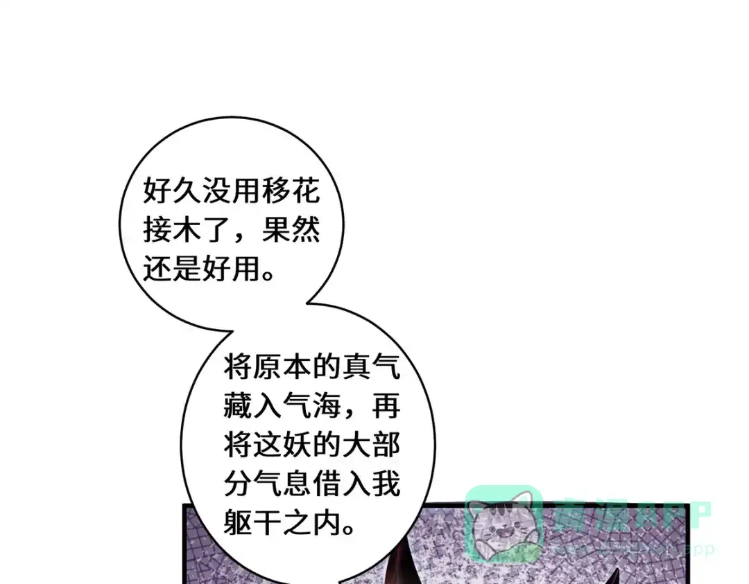 《吾本是猫》第59话 移花接木 第31页