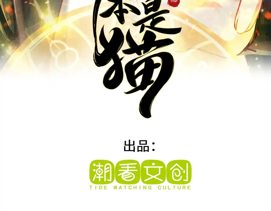 《吾本是猫》第76话 猜测 第3页