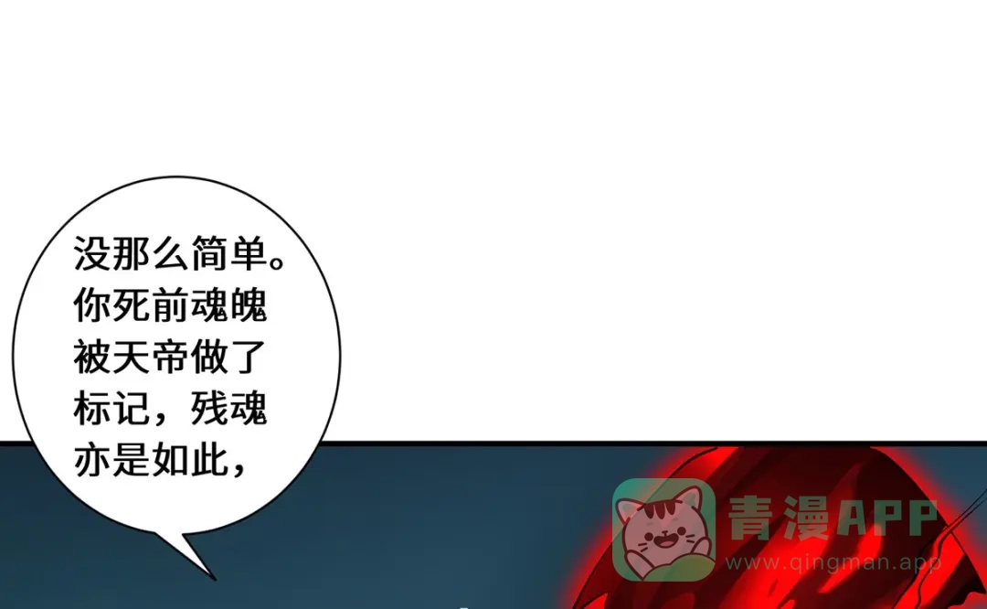 《吾本是猫》第83话 先入为主 第16页