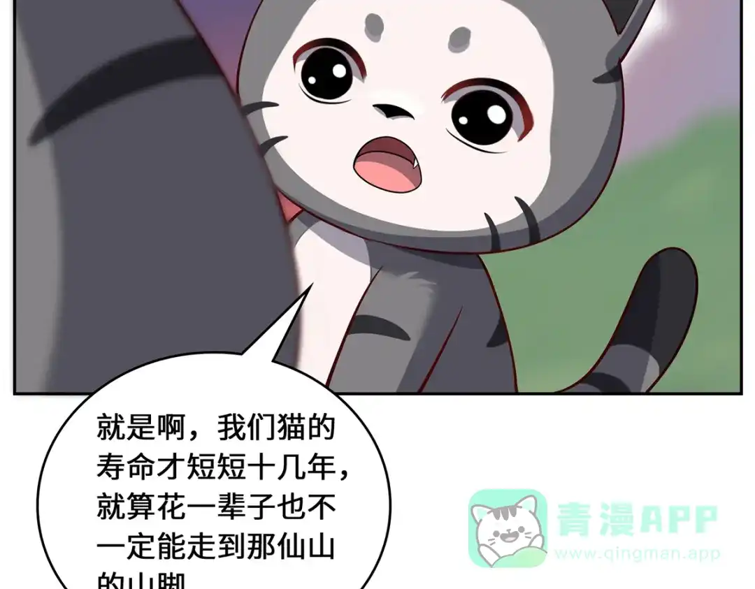 《吾本是猫》第93话 部署计划 第81页