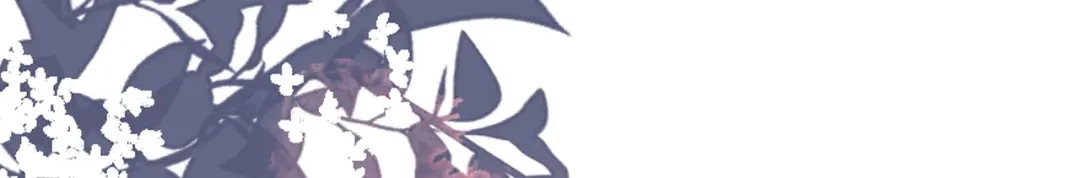 《无法拥有的你》第25话 折腾人 第43页