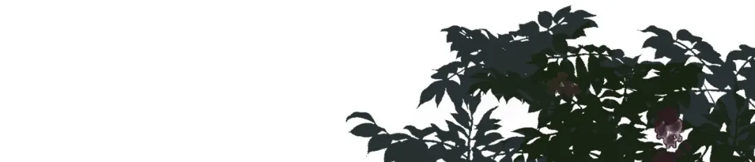 《无法拥有的你》第39话 再进医院 第50页