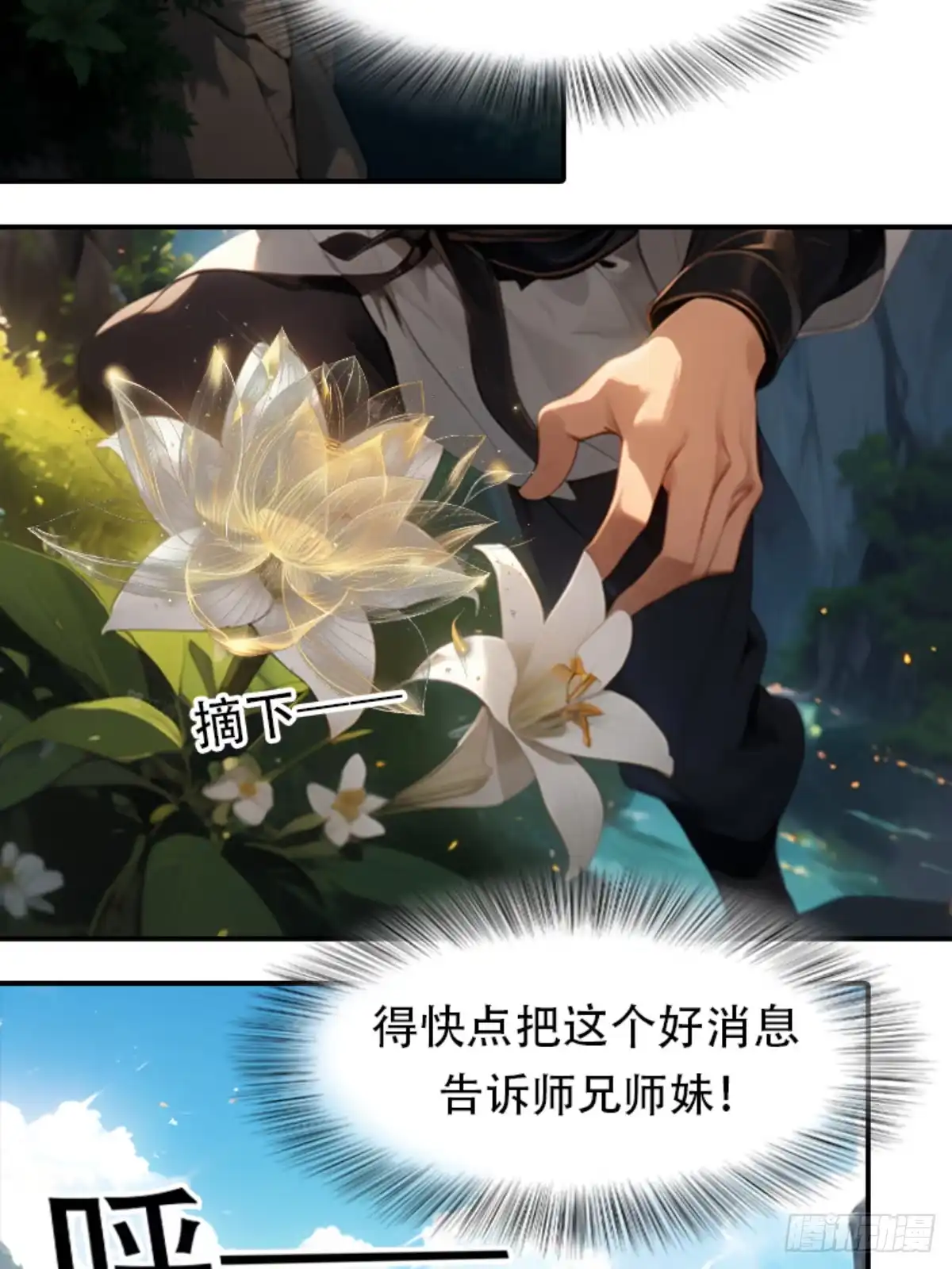 5.jpg