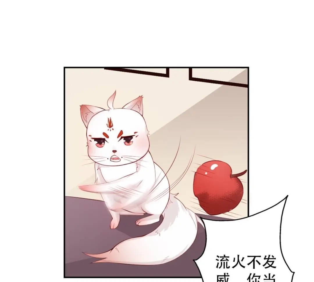 《五卷神兽录之忘忧传》第3话 火火愿你一往如初 第79页