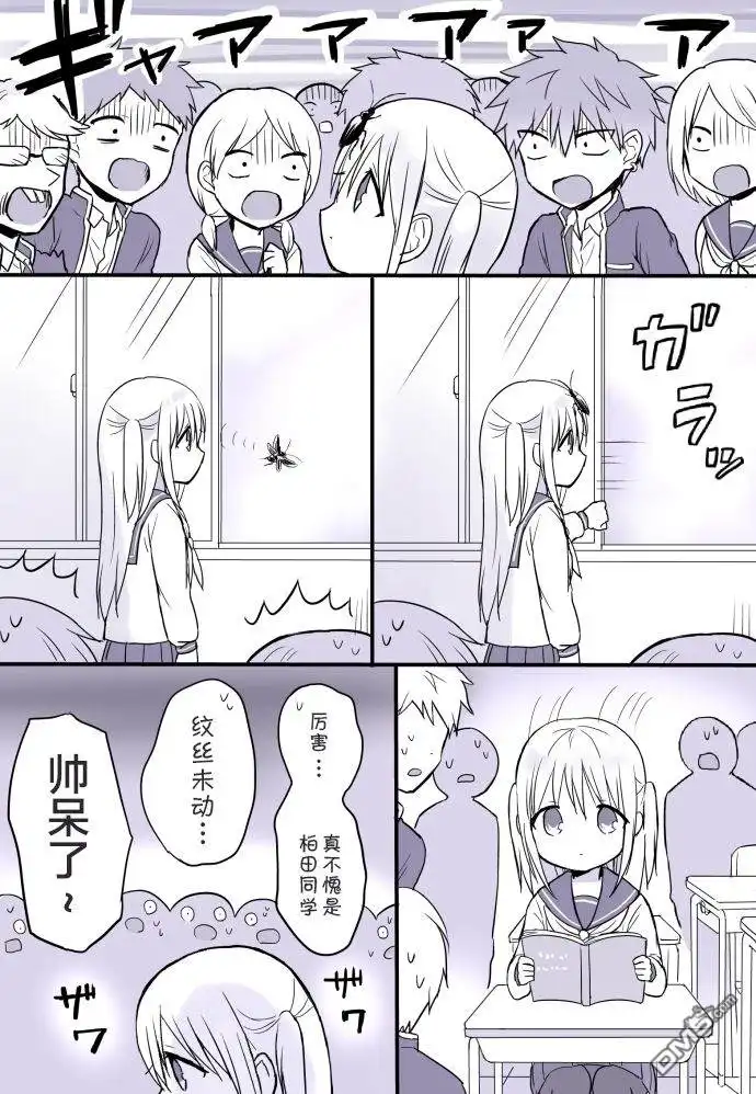 无口的柏田小姐与元气的太田君 - 主线连载篇 - 第3张图