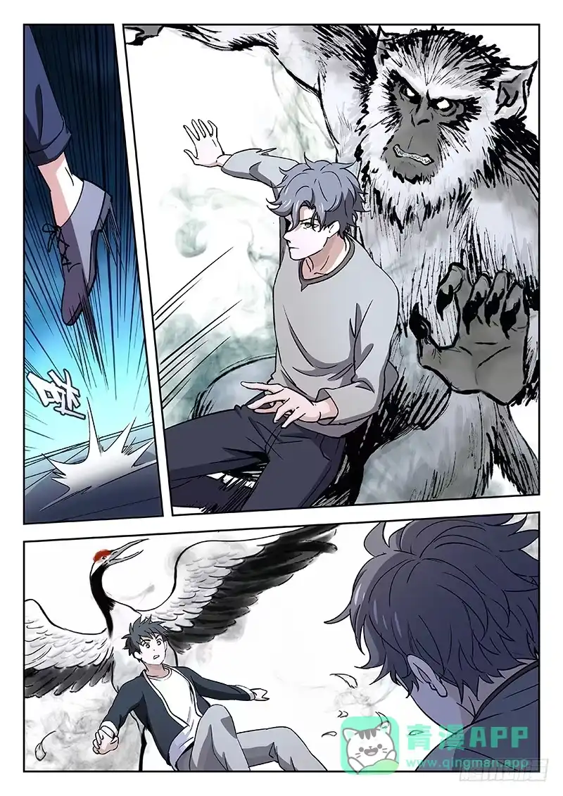 《武林传人》31：猿与鹤 第11页