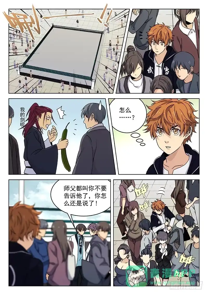 《武林传人》95：失望 第6页