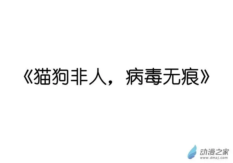 吾猫当仙 番外篇 番外之抗击疫情 第1页