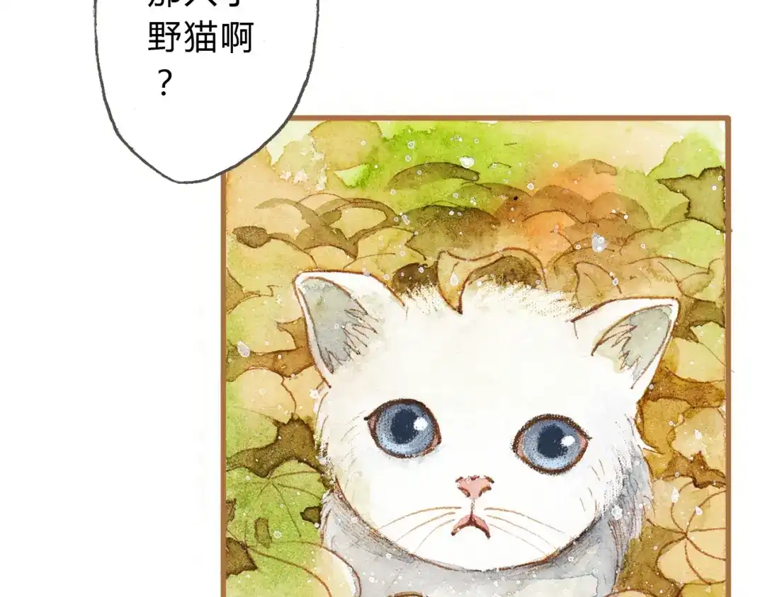 《梧桐细雨》第11话 你只会讨女生欢心 第35页