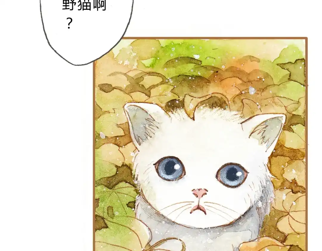 《梧桐细雨》第12话 为什么要这样对我？ 第5页