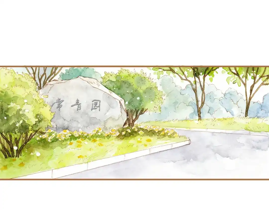 《梧桐细雨》第12话 为什么要这样对我？ 第13页