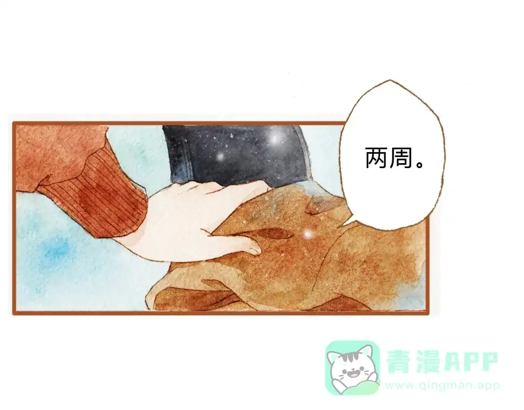 《梧桐细雨》第43话 与他第一次同床共枕 第11页